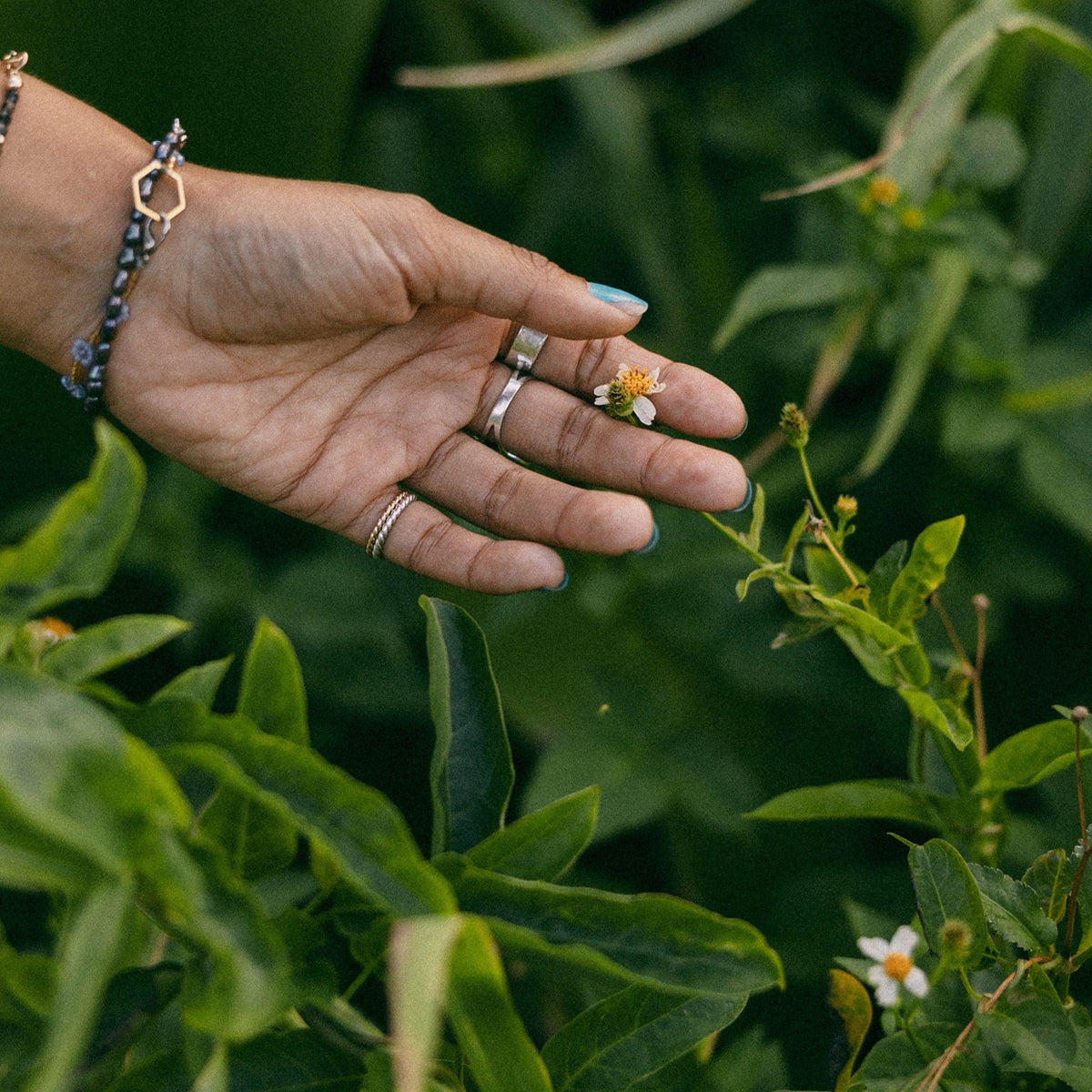 A close-up of a person's hand holding a small white flower among green leaves, wearing silver rings and a beaded bracelet.