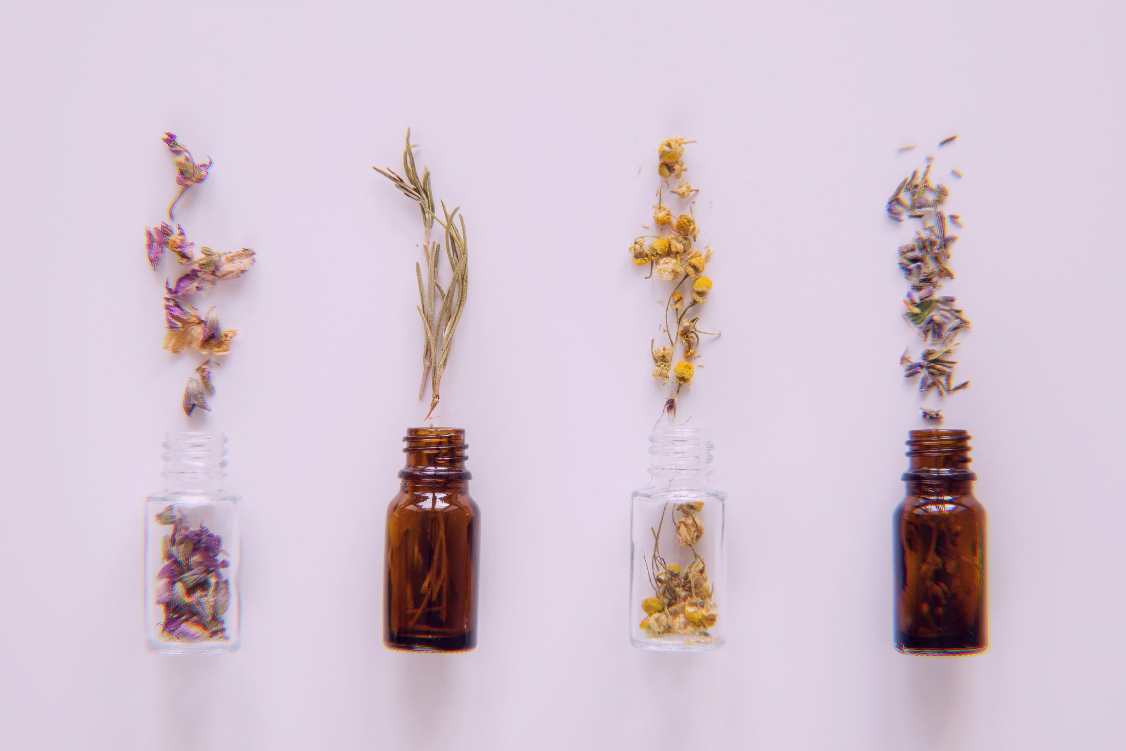 Image featuring apothecary herbs for spiritual wellness on a purple background